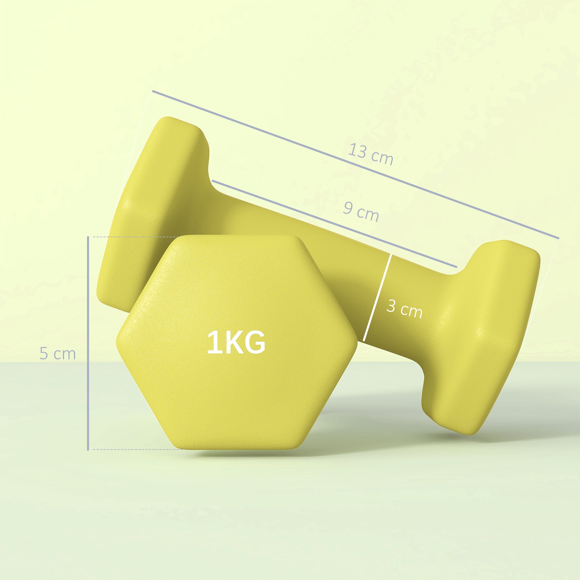 Dumbbells, Hexagonal Weights Pair