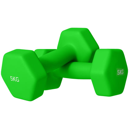 Dumbbells, Hexagonal Weights Pair