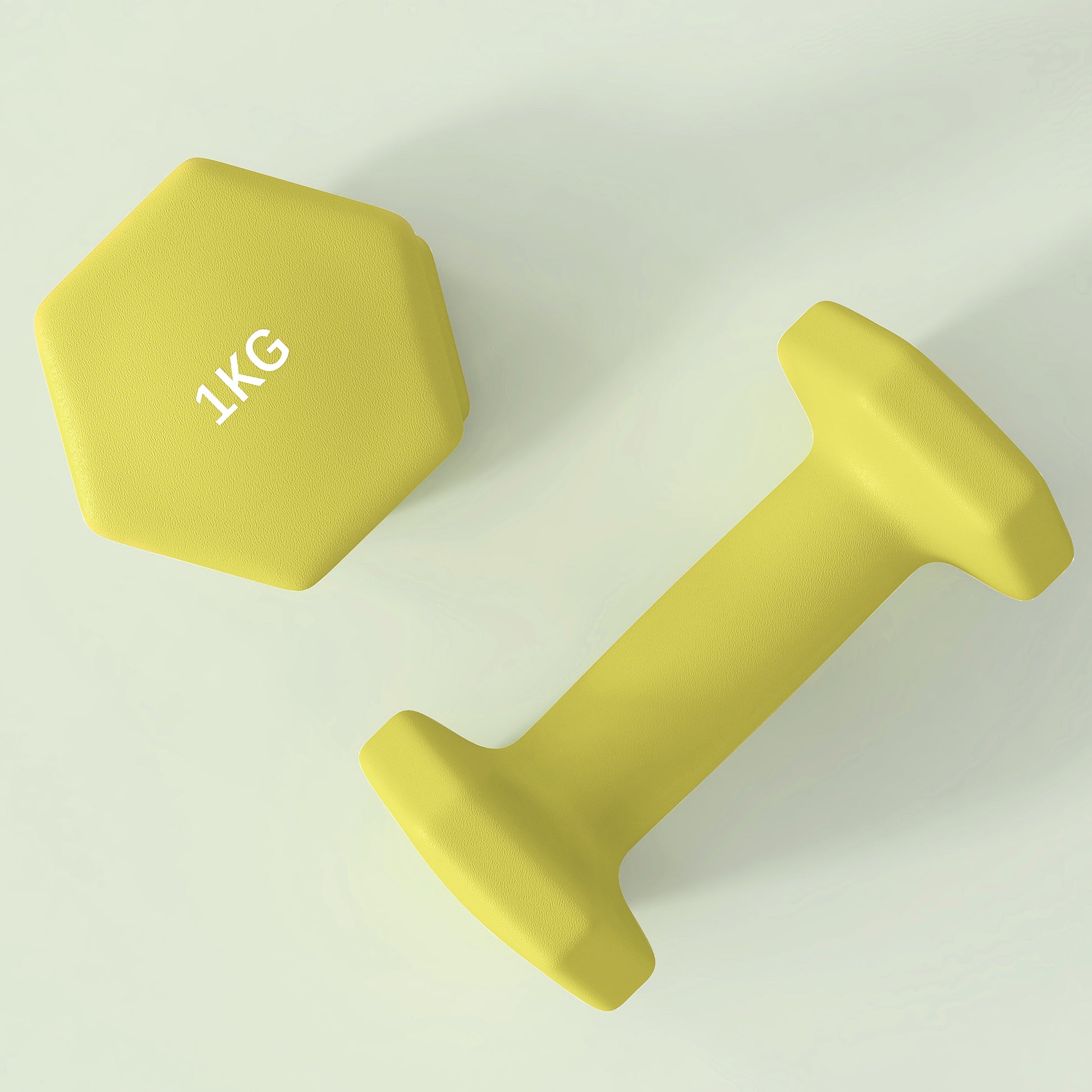 Dumbbells, Hexagonal Weights Pair