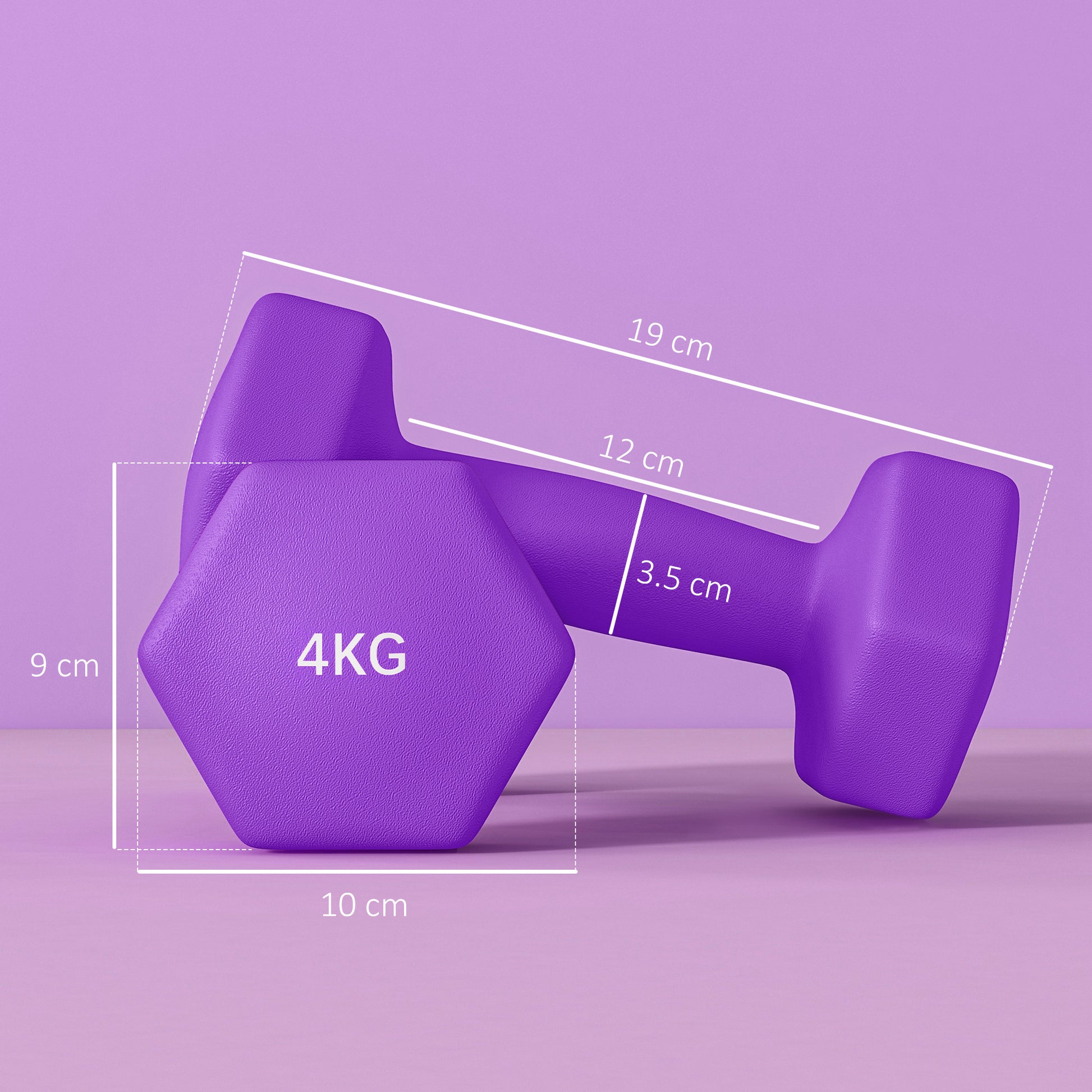 Dumbbells, Hexagonal Weights Pair