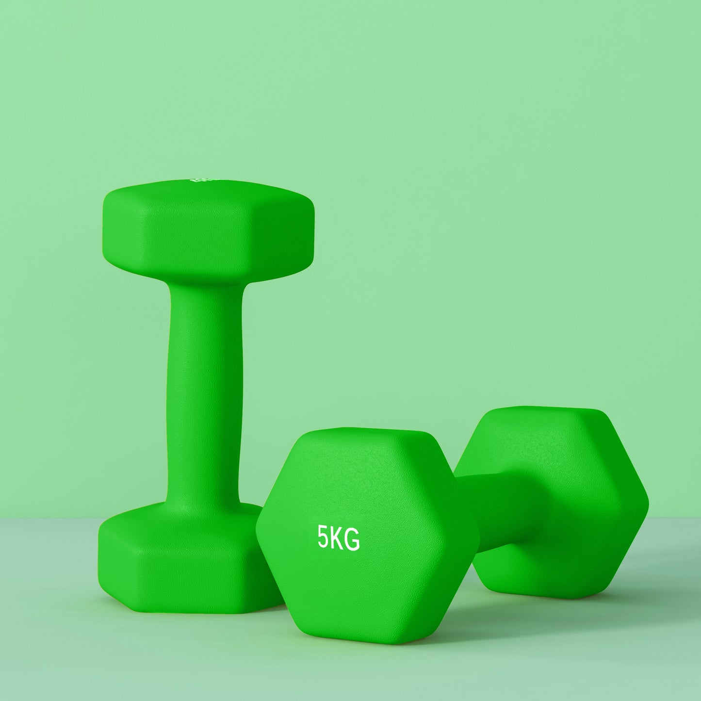 Dumbbells, Hexagonal Weights Pair