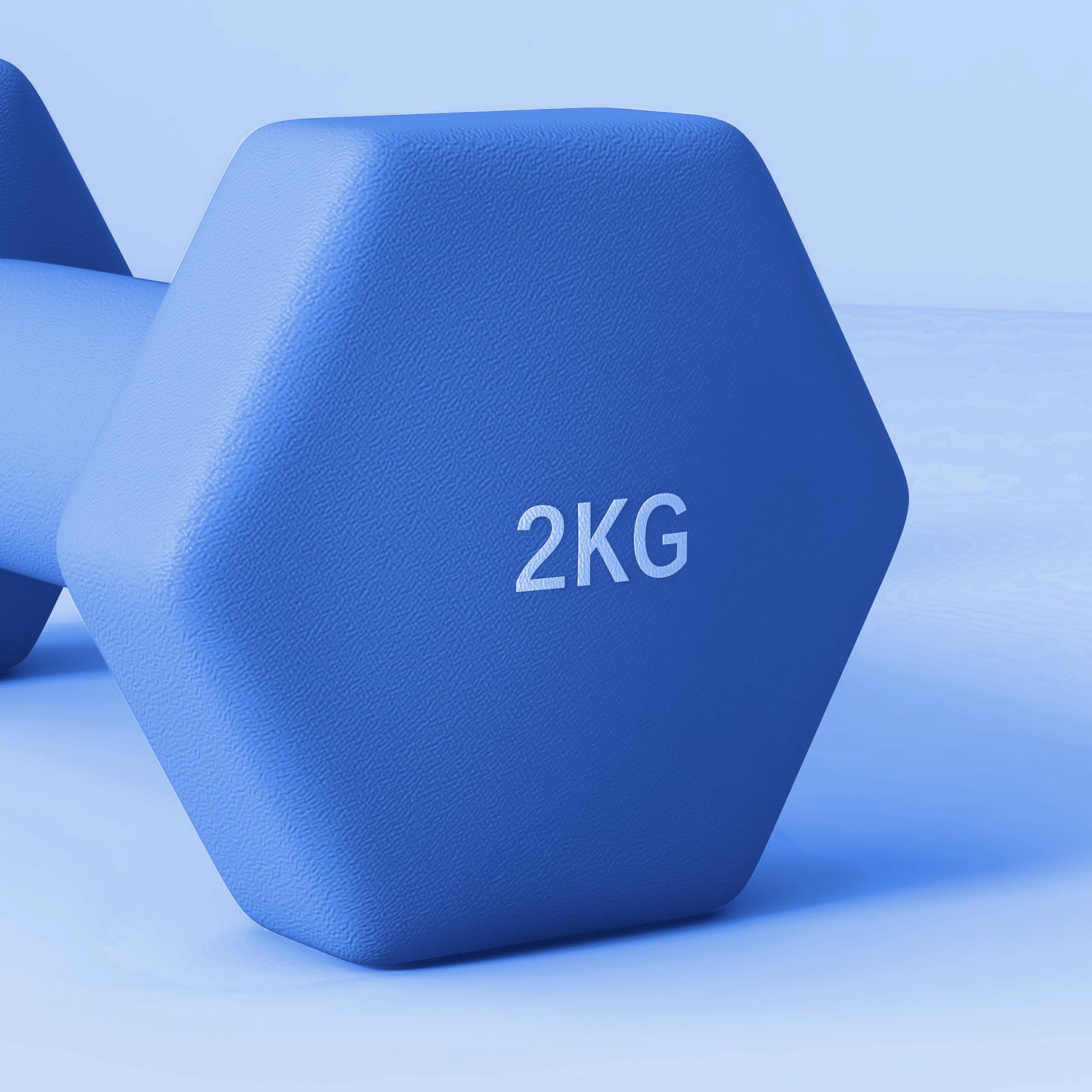 Dumbbells, Hexagonal Weights Pair