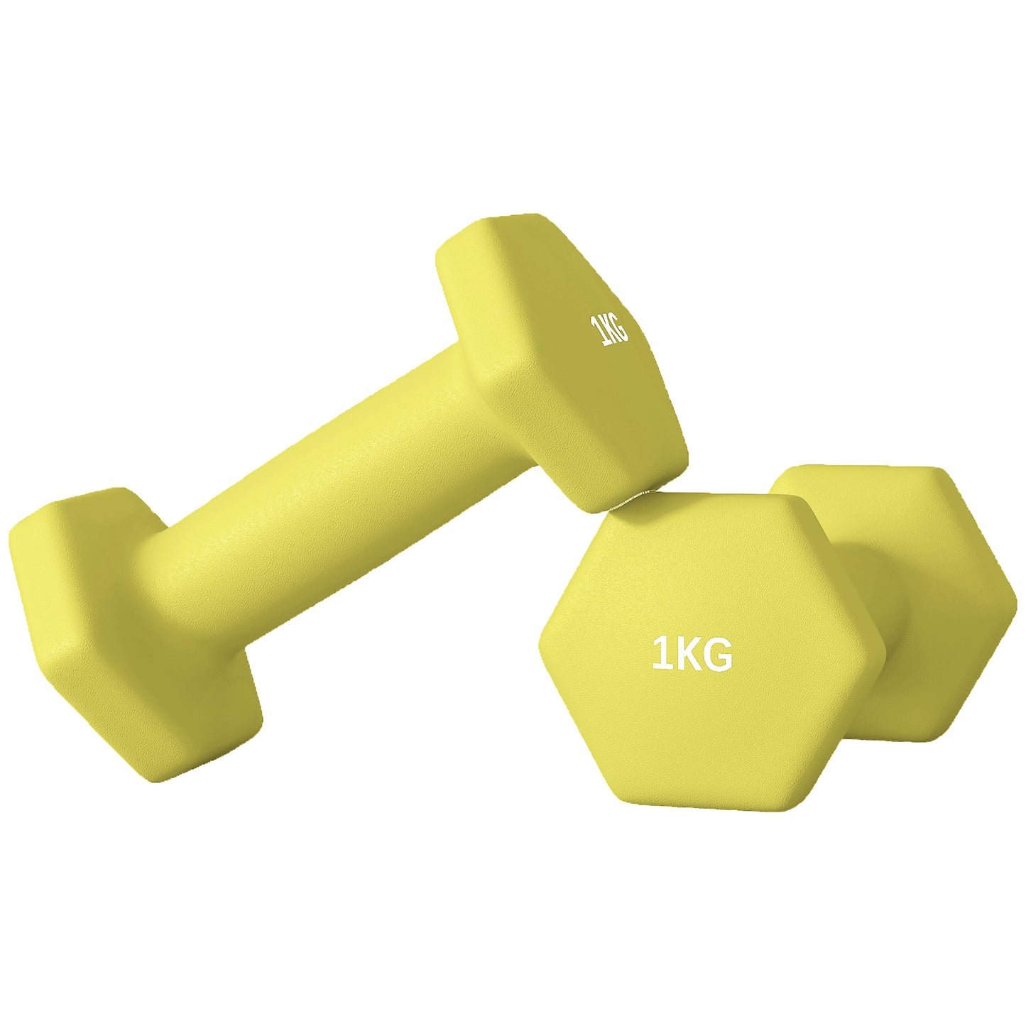 Dumbbells, Hexagonal Weights Pair