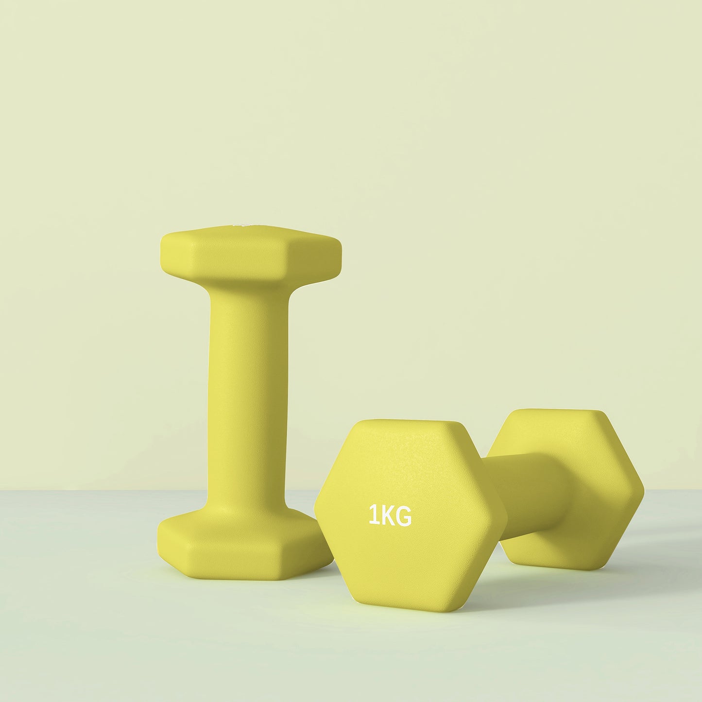 Dumbbells, Hexagonal Weights Pair