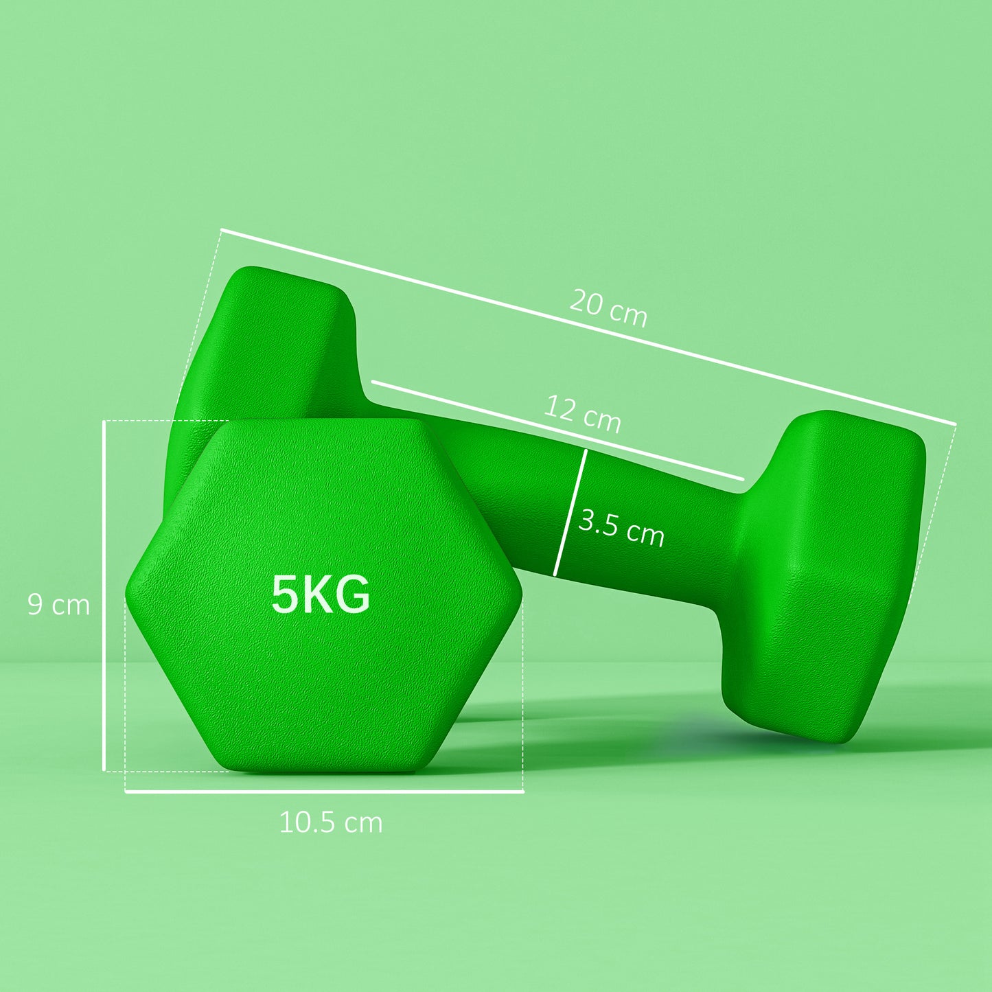 Dumbbells, Hexagonal Weights Pair